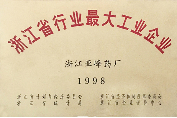 1998年省行业最大工业企业