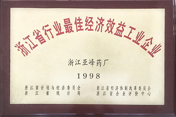 1998年省最佳经济效益工业企业