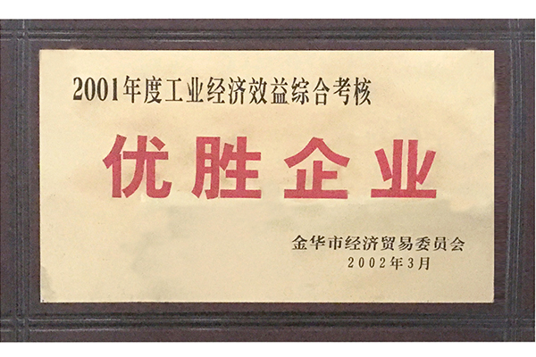 2001年工业经济效益优胜企业